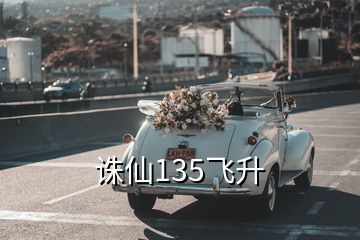 誅仙135飛升