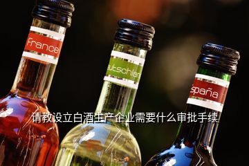 請教設(shè)立白酒生產(chǎn)企業(yè)需要什么審批手續(xù)