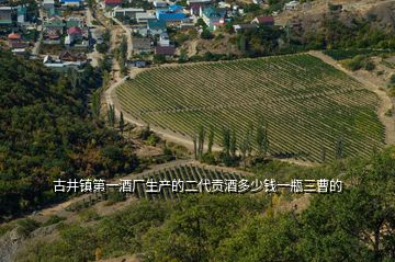 古井鎮(zhèn)第一酒廠生產的二代貢酒多少錢一瓶三曹的