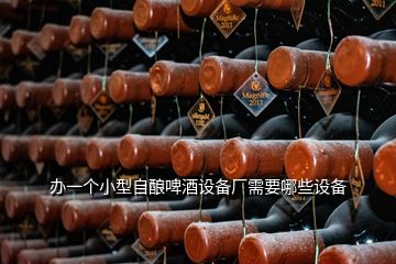 辦一個小型自釀啤酒設(shè)備廠需要哪些設(shè)備