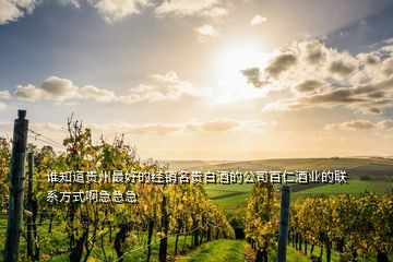 誰知道貴州最好的經(jīng)銷名貴白酒的公司百仁酒業(yè)的聯(lián)系方式啊急急急