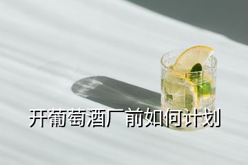 開(kāi)葡萄酒廠前如何計(jì)劃