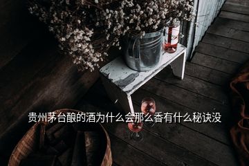 貴州茅臺釀的酒為什么會那么香有什么秘訣沒