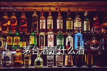 茅臺(tái)酒是什么酒