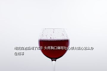 喝完白酒后喝了紅牛 頭疼胸口痛嘔吐心悸火燒心怎么辦 在線等