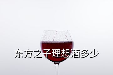 東方之子理想酒多少