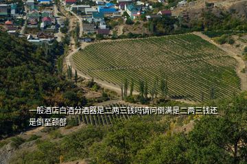 一般酒店白酒分酒器是二兩三錢嗎請問倒?jié)M是二兩三錢還是倒至頸部