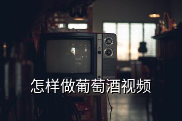 怎樣做葡萄酒視頻