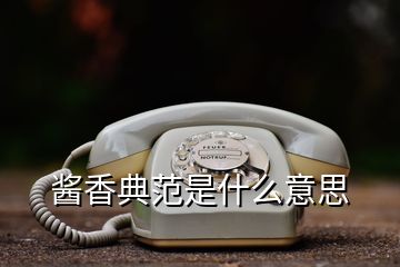 醬香典范是什么意思