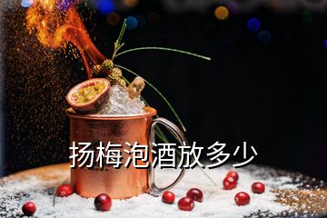 揚(yáng)梅泡酒放多少