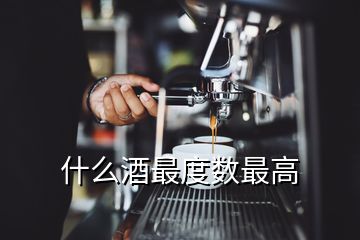 什么酒最度數(shù)最高