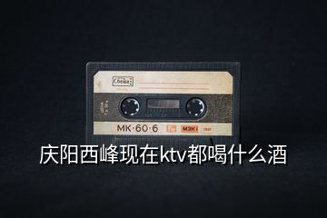 慶陽西峰現(xiàn)在ktv都喝什么酒