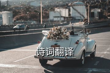 詩(shī)詞翻譯