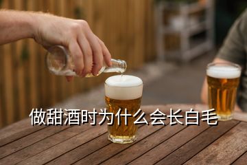 做甜酒時(shí)為什么會長白毛