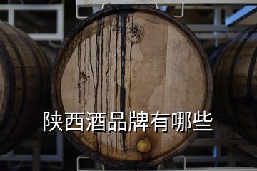 陜西酒品牌有哪些