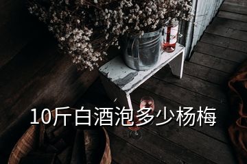 10斤白酒泡多少楊梅