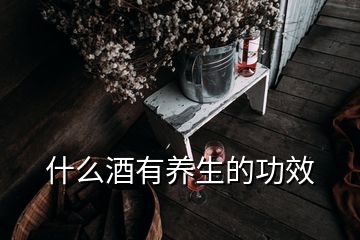 什么酒有養(yǎng)生的功效