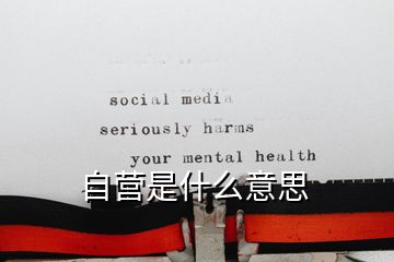 自營是什么意思