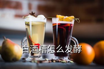 白酒糟怎么發(fā)酵