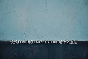 長(zhǎng)頸FOV中的 L4075 070900是什么意思