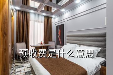 預(yù)收費是什么意思