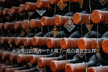 從沒(méi)喝過(guò)白酒的一個(gè)人喝了一瓶白酒會(huì)怎么樣