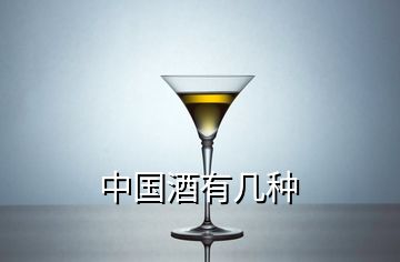 中國(guó)酒有幾種