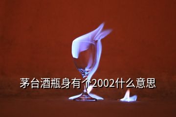 茅臺酒瓶身有個2002什么意思