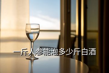 一斤人參能泡多少斤白酒