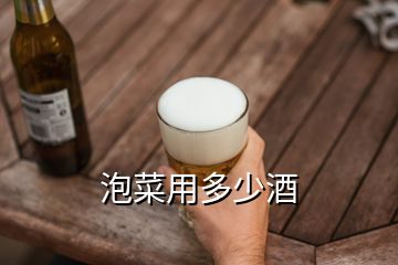 泡菜用多少酒