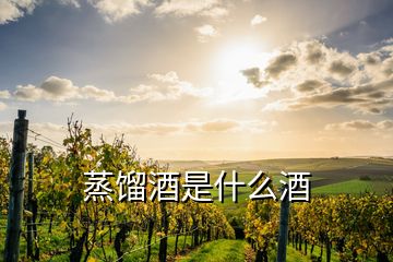 蒸餾酒是什么酒