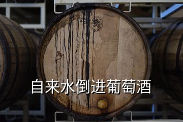 自來(lái)水倒進(jìn)葡萄酒