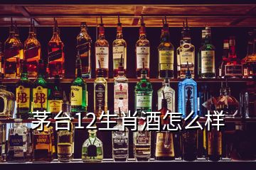 茅臺(tái)12生肖酒怎么樣