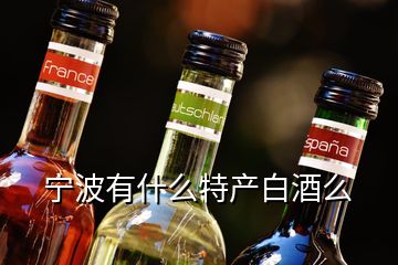 寧波有什么特產(chǎn)白酒么