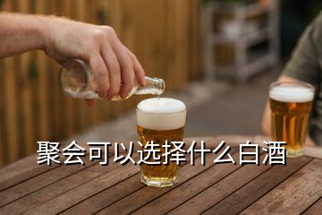 聚會(huì)可以選擇什么白酒