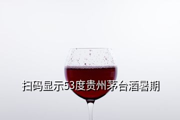 掃碼顯示53度貴州茅臺酒暑期