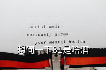 想問(wèn)一下81是啥酒