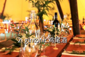 2. gintonic雞尾酒