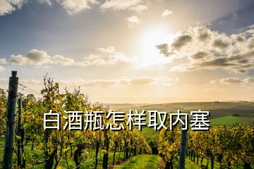 白酒瓶怎樣取內(nèi)塞