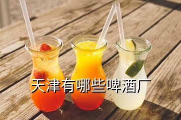 天津有哪些啤酒廠