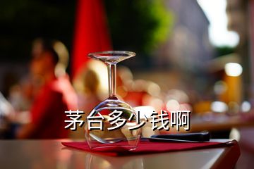 茅臺(tái)多少錢(qián)啊