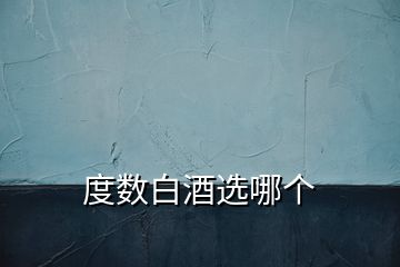 度數(shù)白酒選哪個