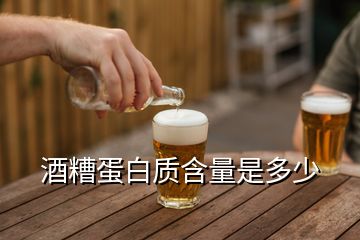 酒糟蛋白質(zhì)含量是多少