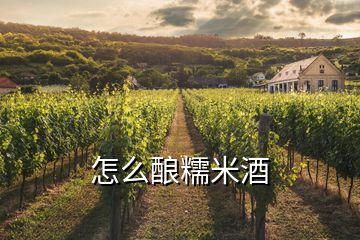 怎么釀糯米酒