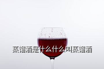 蒸餾酒是什么什么叫蒸餾酒