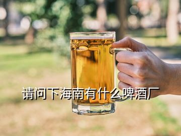 請(qǐng)問(wèn)下海南有什么啤酒廠