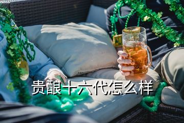 貴釀十六代怎么樣