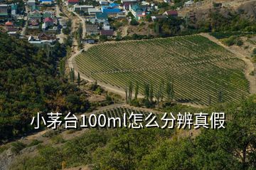 小茅臺(tái)100ml怎么分辨真假