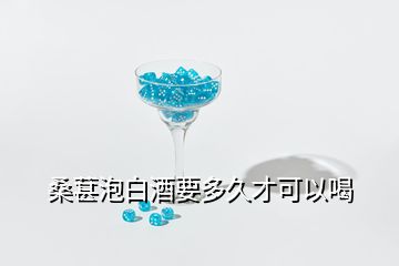 桑葚泡白酒要多久才可以喝