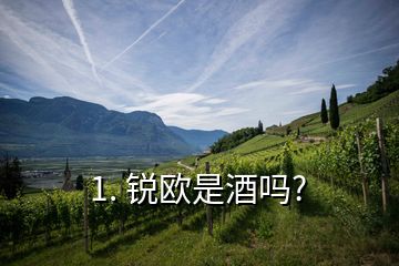 1. 銳歐是酒嗎?